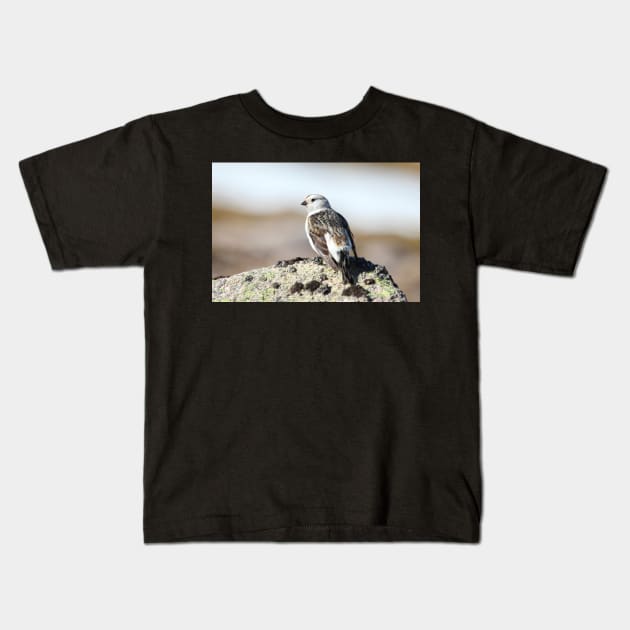 Snow bunting Kids T-Shirt by orcadia